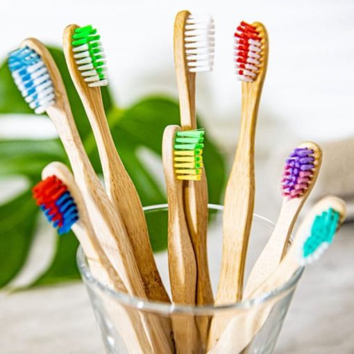 brosses à dents en bambou paquet familial