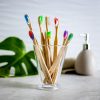 biodegradable toothbrushes - 4 Adult & 4 kids