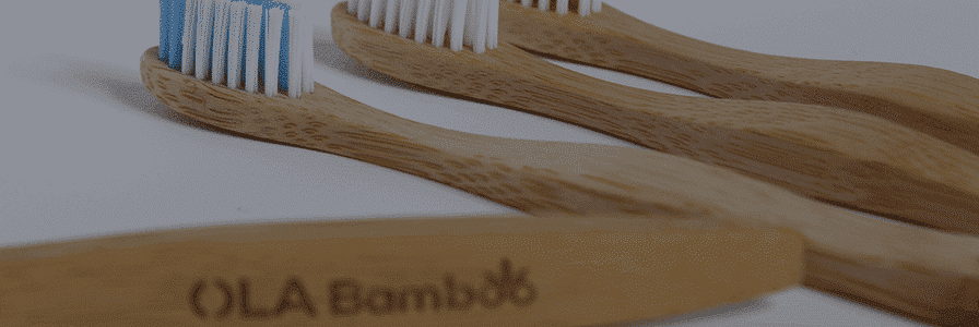 OLA Bamboo