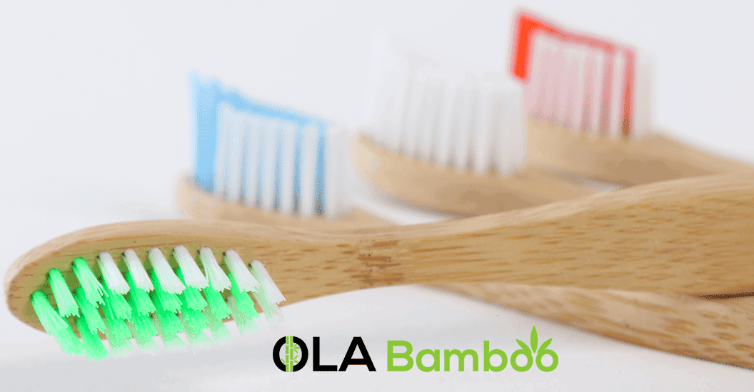OLA Bamboo