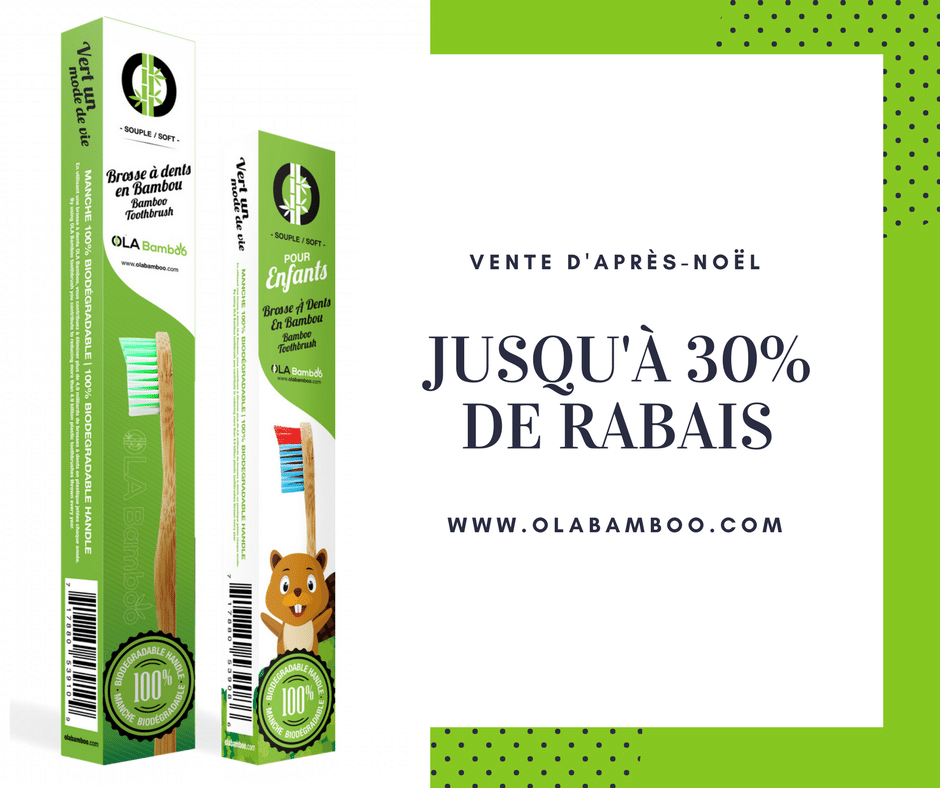 OLA Bamboo
