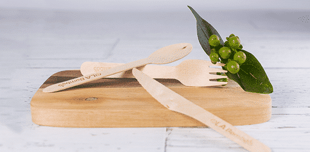 OLA Bamboo