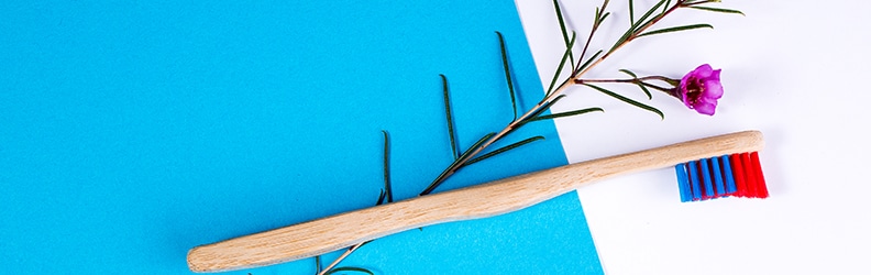 OLA Bamboo