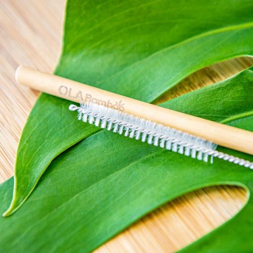 Bamboo Straw and cleaning brush