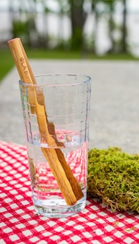 OLA Bamboo