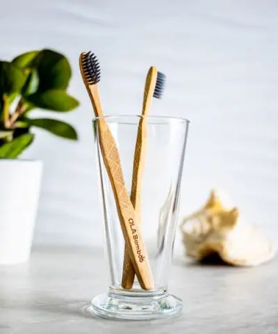 Charcoal toothbrushes