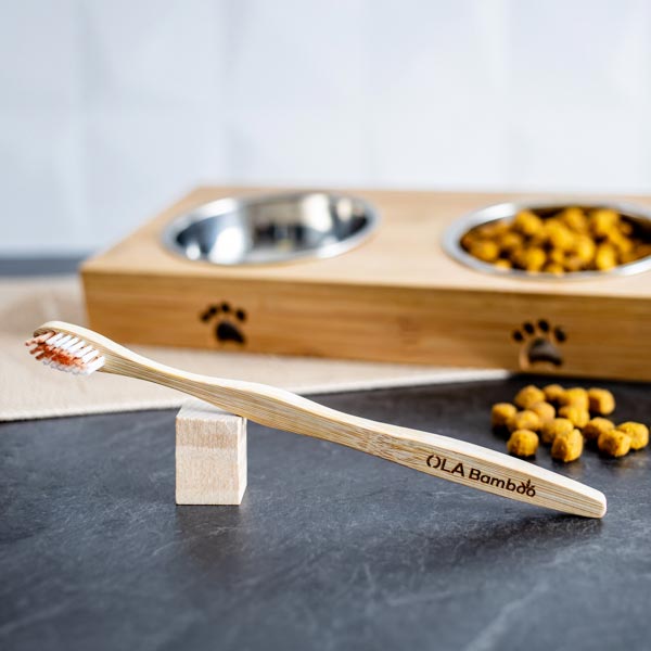 OLA Bamboo