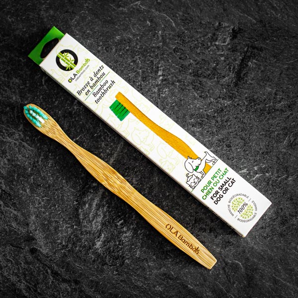 OLA Bamboo