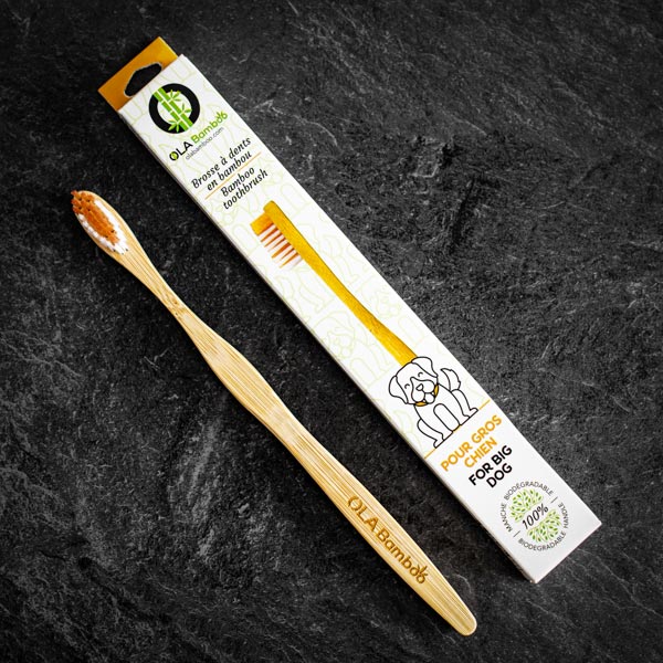 OLA Bamboo