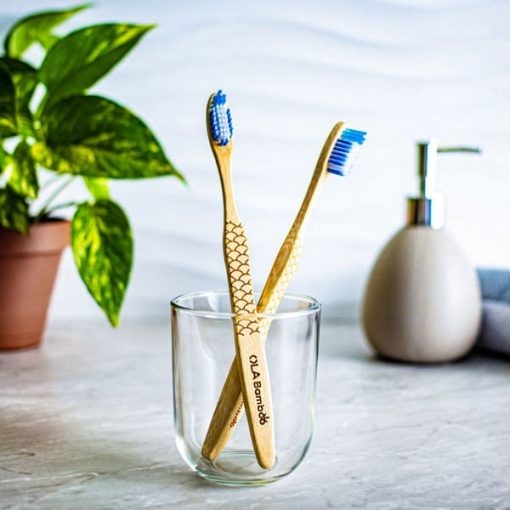 Brosses a dents en bambou