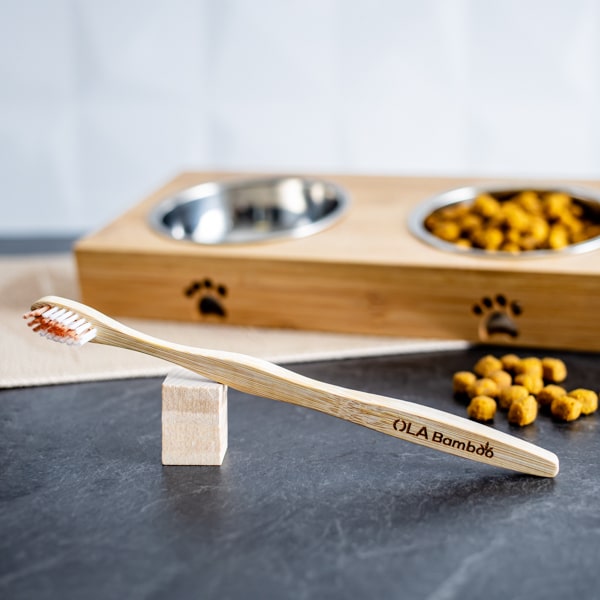 OLA Bamboo
