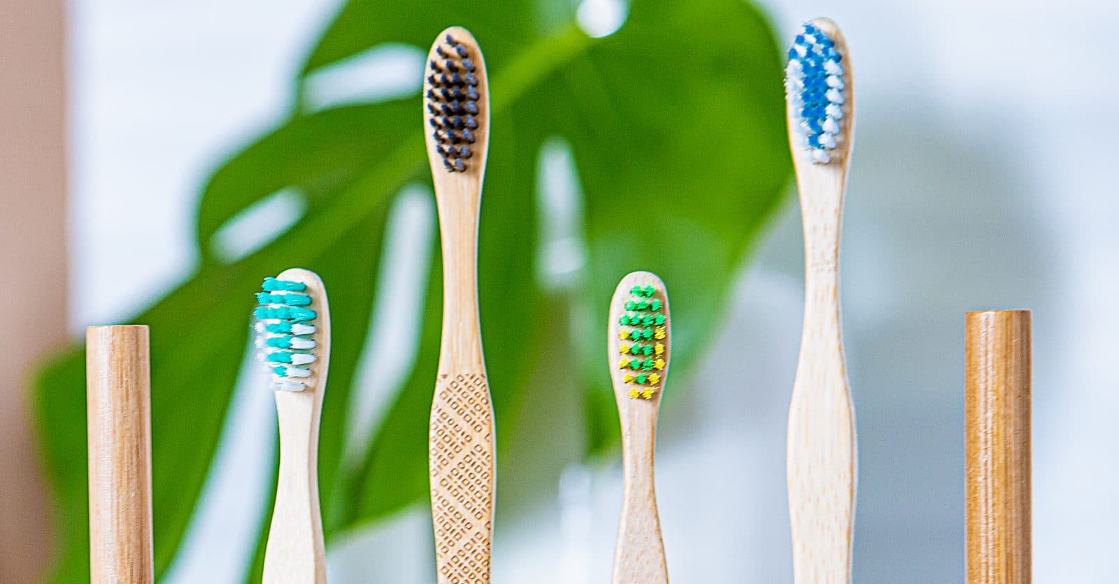 Quand devrait-on changer sa brosse à dents ?