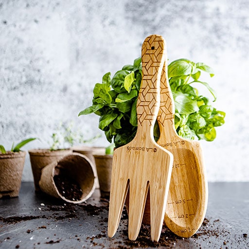 OLA Bamboo