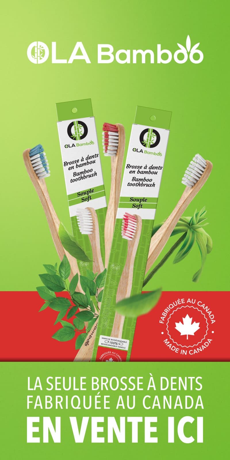 OLA Bamboo
