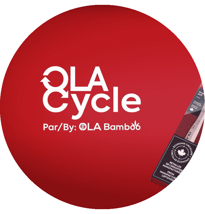 OLA Bamboo