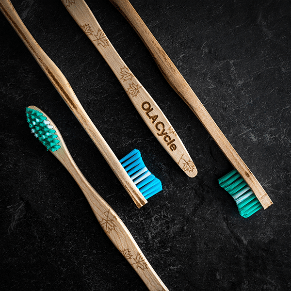 OLA Bamboo