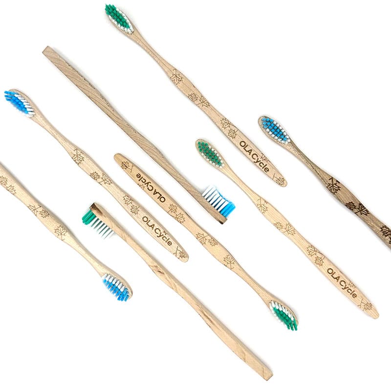 OLA Bamboo