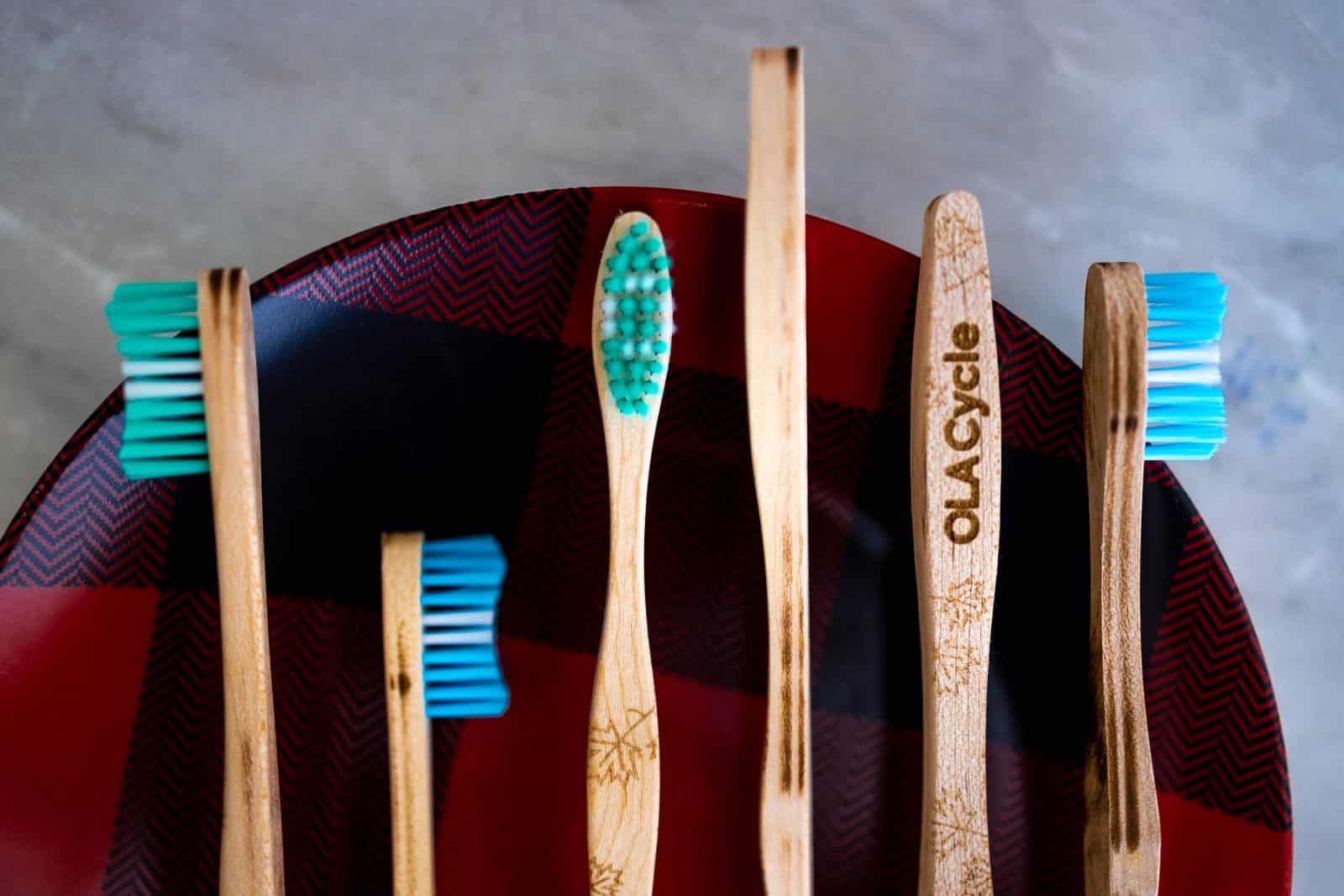 OLA Bamboo