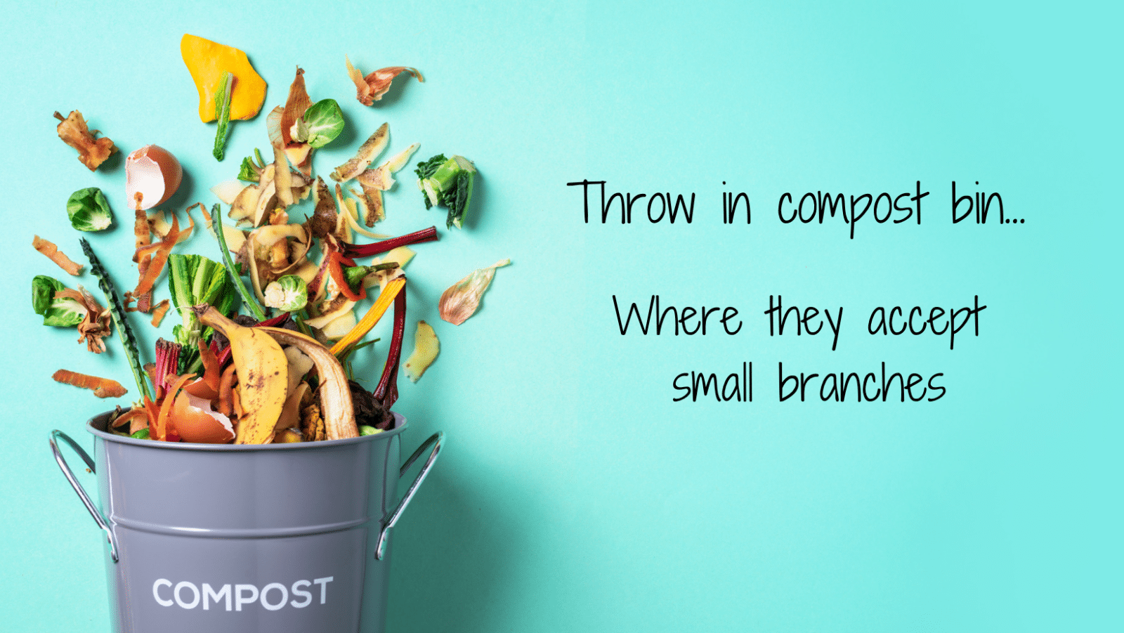 5 reasons to choose OLA Cycle Toothbrush OLA Bamboo