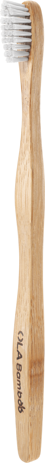 OLA Bamboo