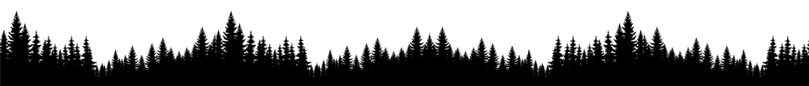 OLA Bamboo